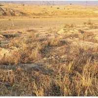 زمین باغی روستای توریستی سرآب‌ننیز گچساران|فروش زمین و ملک کلنگی|باشت, |دیوار