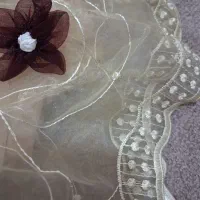 پرده حریر شیشه ای خارجی