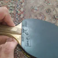 رویه پینگ پونگ TENRGYباتر فلای