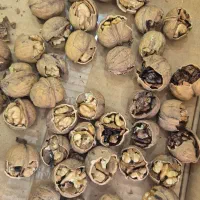 گردو بومی سامان پر چرب و سفید|عمدهفروشی|اصفهان, جاوان|دیوار