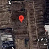 زمین باغ جهت گلخانه سنددار و باغ 8ساله دونبش