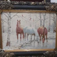 تابلو فرش|تابلو فرش|مشهد, شهرک امام هادی (شهرک غرب)|دیوار