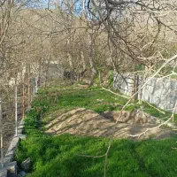زمین-باغچه-200-متری-بالاشهر