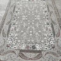 فرش نو|فرش|فسا, |دیوار