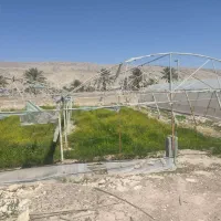 فروش چهار هزار متر سازه گلخانه|عمده‌فروشی|شیراز, رحمت‌آباد|دیوار