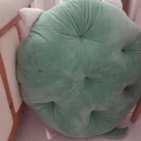 شیتزو فلت دختر۷ماه|سگ|رشت, فلسطین|دیوار