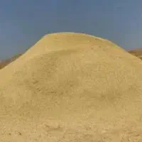 کاه گندم نرم وتمیز