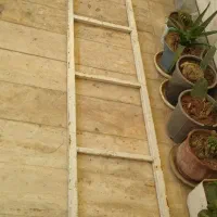 نردبان سالم