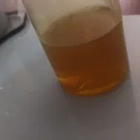 عسل کندو|خوردنی و آشامیدنی|بوشکان, |دیوار