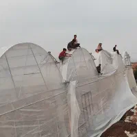 کارگر ساده گل خانه سازی