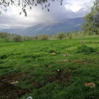 منزل دوطبقه تجاری مسکونی در شباب