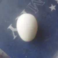 سنگ گوهر شب چراغ|کلکسیون اشیاء عتیقه|داراب, |دیوار