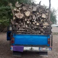 خرید چوب|خدمات باغبانی و درختکاری|دزفول, |دیوار