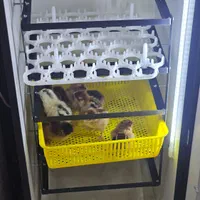 د،ستگاهجو،جه،کشی،هدایت|لوازم جانبی حیوانات|سقز, |دیوار