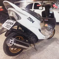 فروش اقساط انواع پاکشتی دیو زد ایکس و...