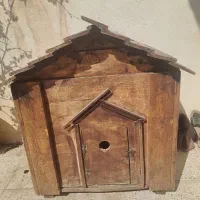 لانه ی سگ گربه خرگوش همسترو...