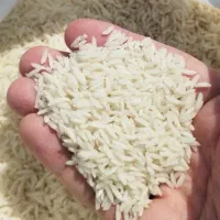 ۱۰۰کیلو برنج هاشمی درجه ۱