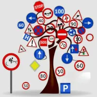 آموزش تخصصی در فردیس و حومه مخصوص بانوان