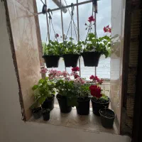 ملک-واقع-در-گلستان