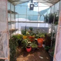 سازه اهنی|فروشگاه و مغازه|کنگاور, |دیوار