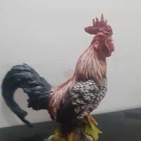مجسمه خروس زیباکه گچ نیست پلی استر