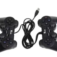 دسته بازی کامپیوتر دوتایی