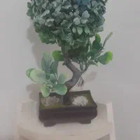 استند گل|گل مصنوعی|سنندج, |دیوار