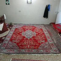 حسن آباد فشافویه،کوچه نهالستان۲|فرش|فشاپویه, |دیوار