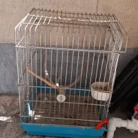 قفس پرنده