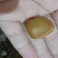 فروشی|کلکسیون اشیاء عتیقه|گنبد کاووس, |دیوار