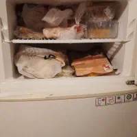 یخچال و فریزر فیلور کاملا سالم|یخچال و فریزر|تهران, پردیسان|دیوار