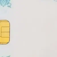 کارت ملی خانم دامنجانی