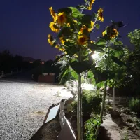 فروش فروش زمین صنوف مزاحم یامعاوضه باخانه مهاجران