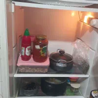 ایران پویا