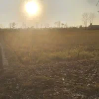 زمین باغی با انشعابات نزدیک|فروش دفتر صنعتی، کشاورزی، تجاری|کیاشهر, |دیوار