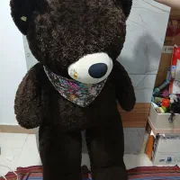 فروش یک عدد عروسک خرس ۱ متری در حد نو|اسباببازی|اندیشه, اندیشه فاز ۱|دیوار