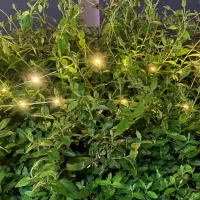 ریسه ۱۰ متری و پروژکتور خورشیدی چراغ قوه بزرگ|ریسه و چراغ تزئینی|مشهد, سپاد|دیوار