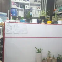 استخدام همکار خانم مسلط ب کامپیوتر ۲ شیفت