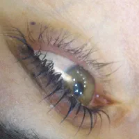 لیفت و لمینت مژه و ابرو|خدمات آموزشی|کرمانشاه, |دیوار