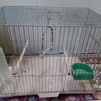 قفس پرنده مفت
