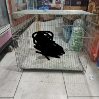 قفس پرنده
