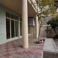 ۵۰۰متر بنا با ۳۰۰متر حیاط دربست پارک هنرمندان|اجارهٔ خانه و ویلا|تهران, ایرانشهر|دیوار