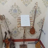 آموزش تار سه تار صورت خصوصی و تخصصی