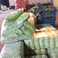 باقالی منجمد ونخود سبز پاک شده|خوردنی و آشامیدنی|نسیم‌شهر, |دیوار