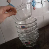 کاسه و مرغ خوری