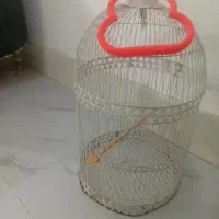 قفس عروس هلندی