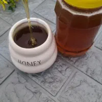 عسل کنار(کندو)|خوردنی و آشامیدنی|دهلران, |دیوار