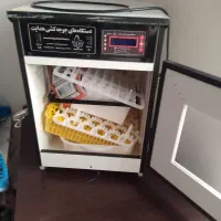 دستگاه جوجه کشی|لوازم جانبی حیوانات|نیک شهر, |دیوار