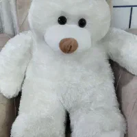 عروسک فروشی
