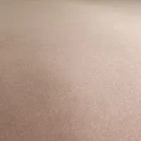 موکت درحدنو